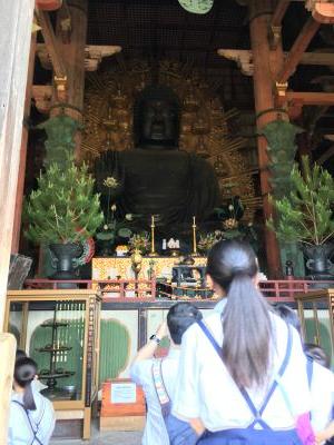 IMG-6904 IMG-6904