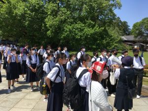 IMG-6896 IMG-6896