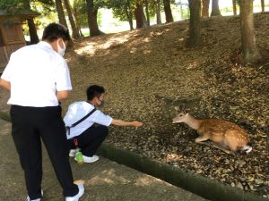 IMG-6918
