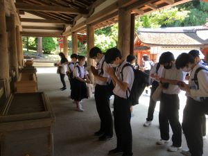 IMG-6941 IMG-6941