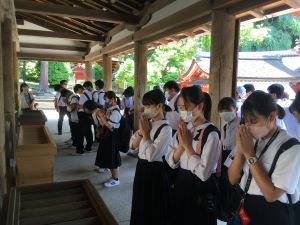 IMG-6967 IMG-6967