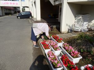 DSC00053 DSC00053