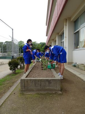 DSC00086 DSC00086