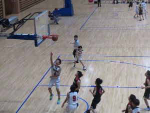 IMG_3887 IMG_3887