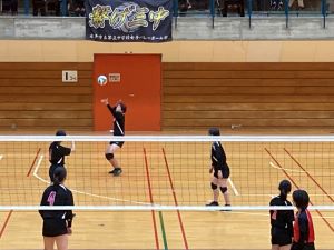 バレー女 (8) バレー女 (8)