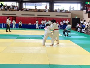IMG_2362 IMG_2362