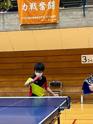 IMG_1390 IMG_1390