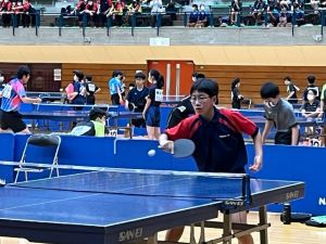 IMG_1452 IMG_1452