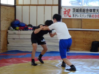 DSC04219 DSC04219