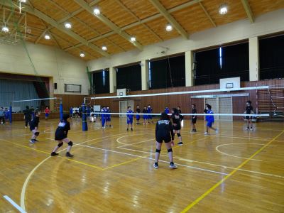 DSC04229 DSC04229