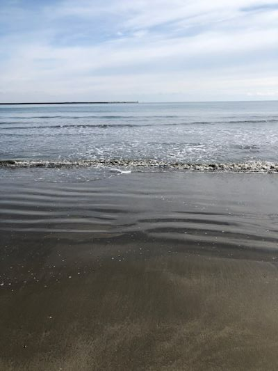 IMG_0904 IMG_0904
