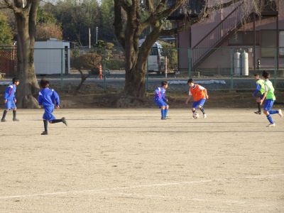 DSC04230