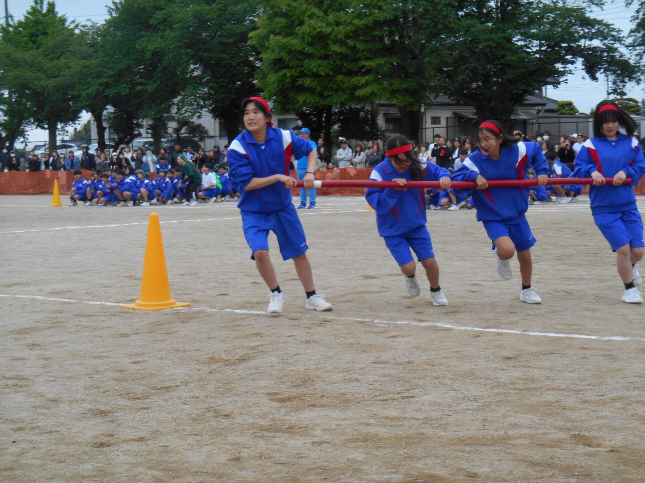 DSCN8526 DSCN8526