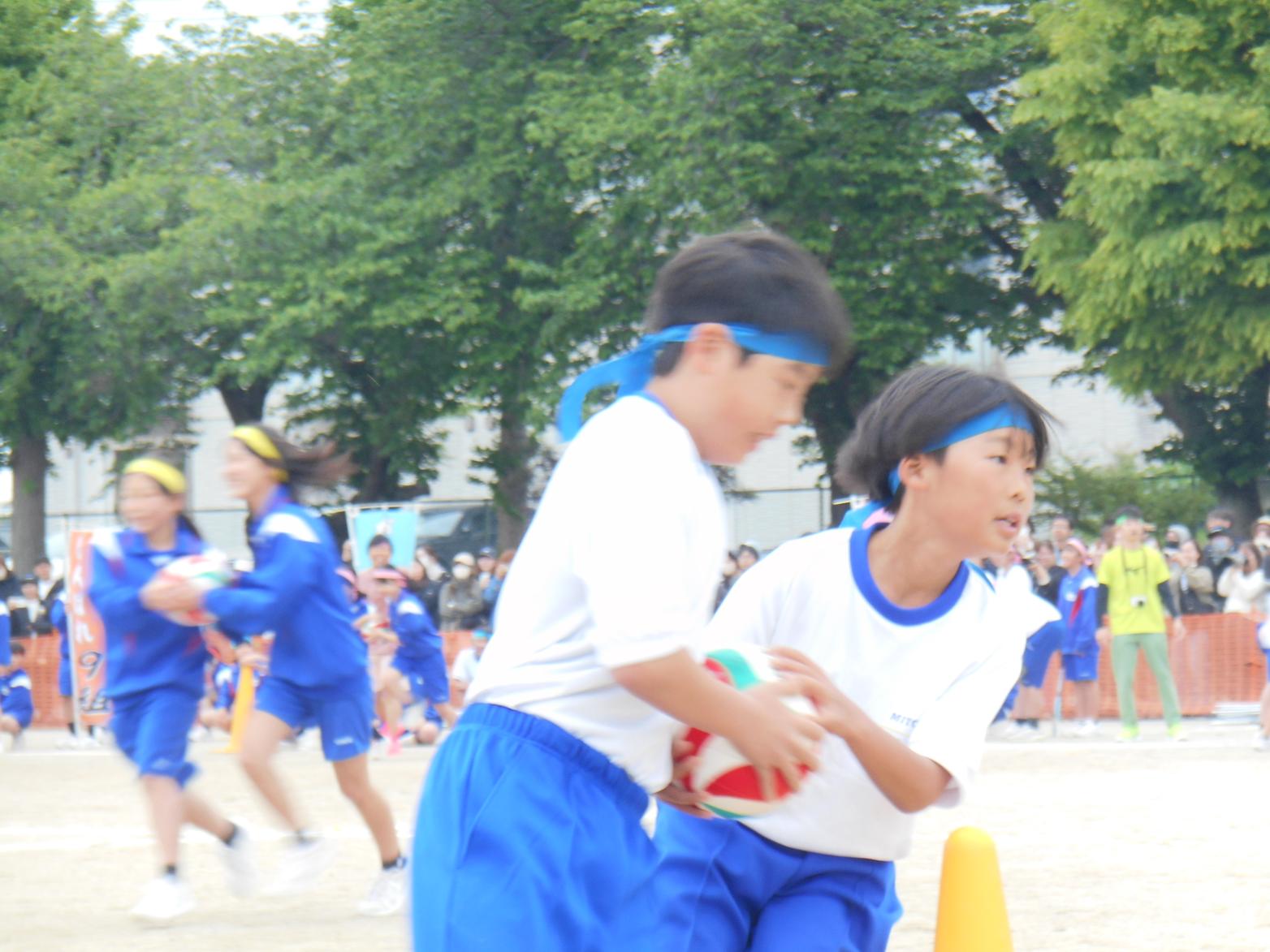 DSCN8599 DSCN8599