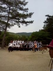  修学旅行12
