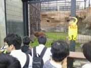  船中泊を伴う自然教室22