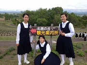 美瑛北西の丘 美瑛北西の丘