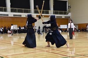 柏君