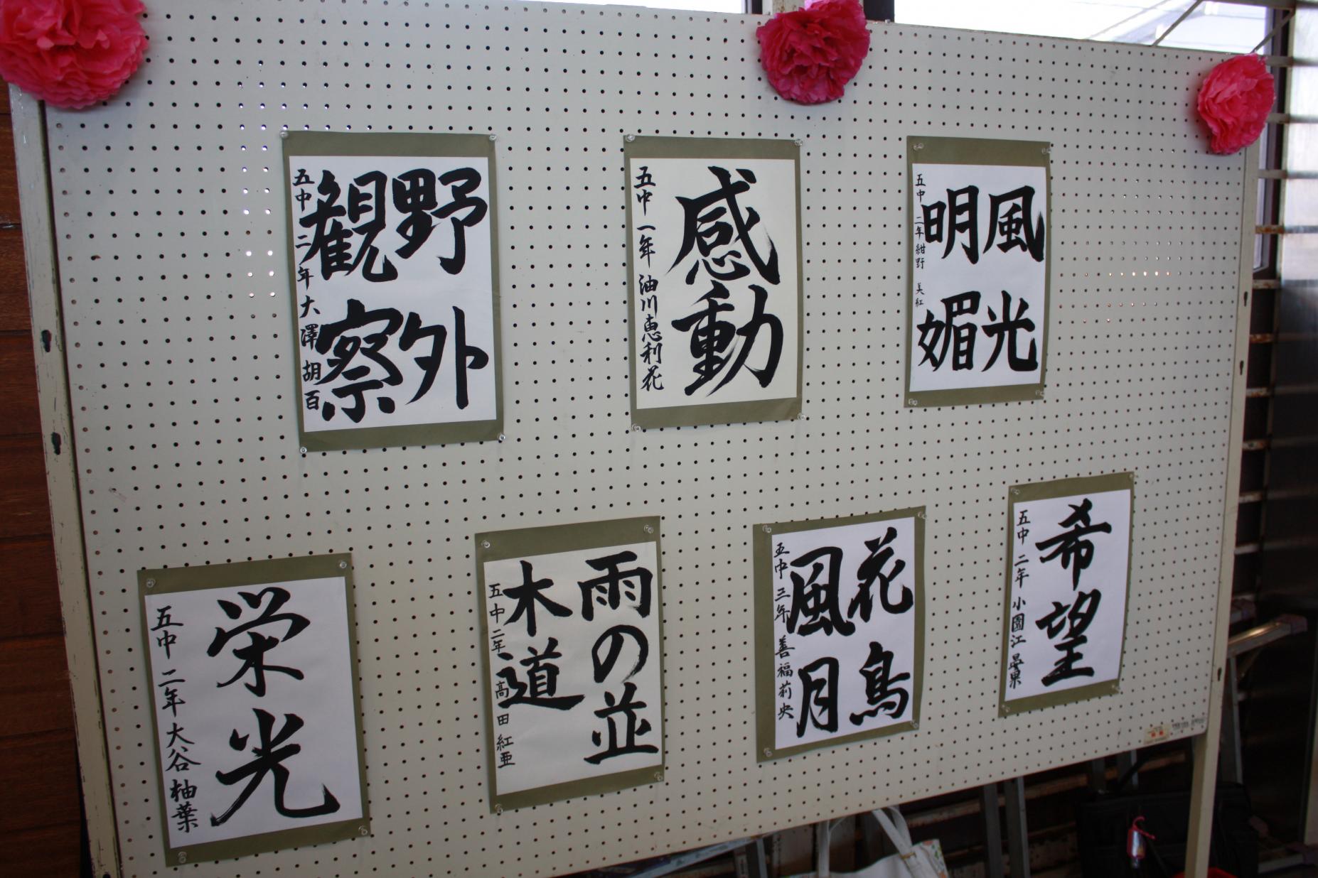 IMG_2541 IMG_2541