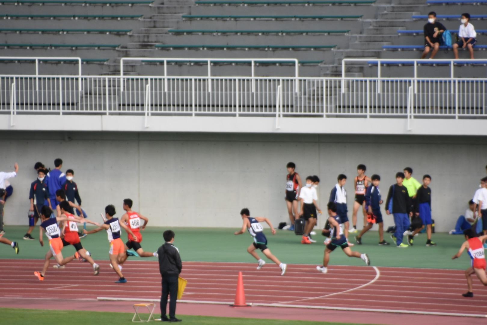 IMG_8471 IMG_8471