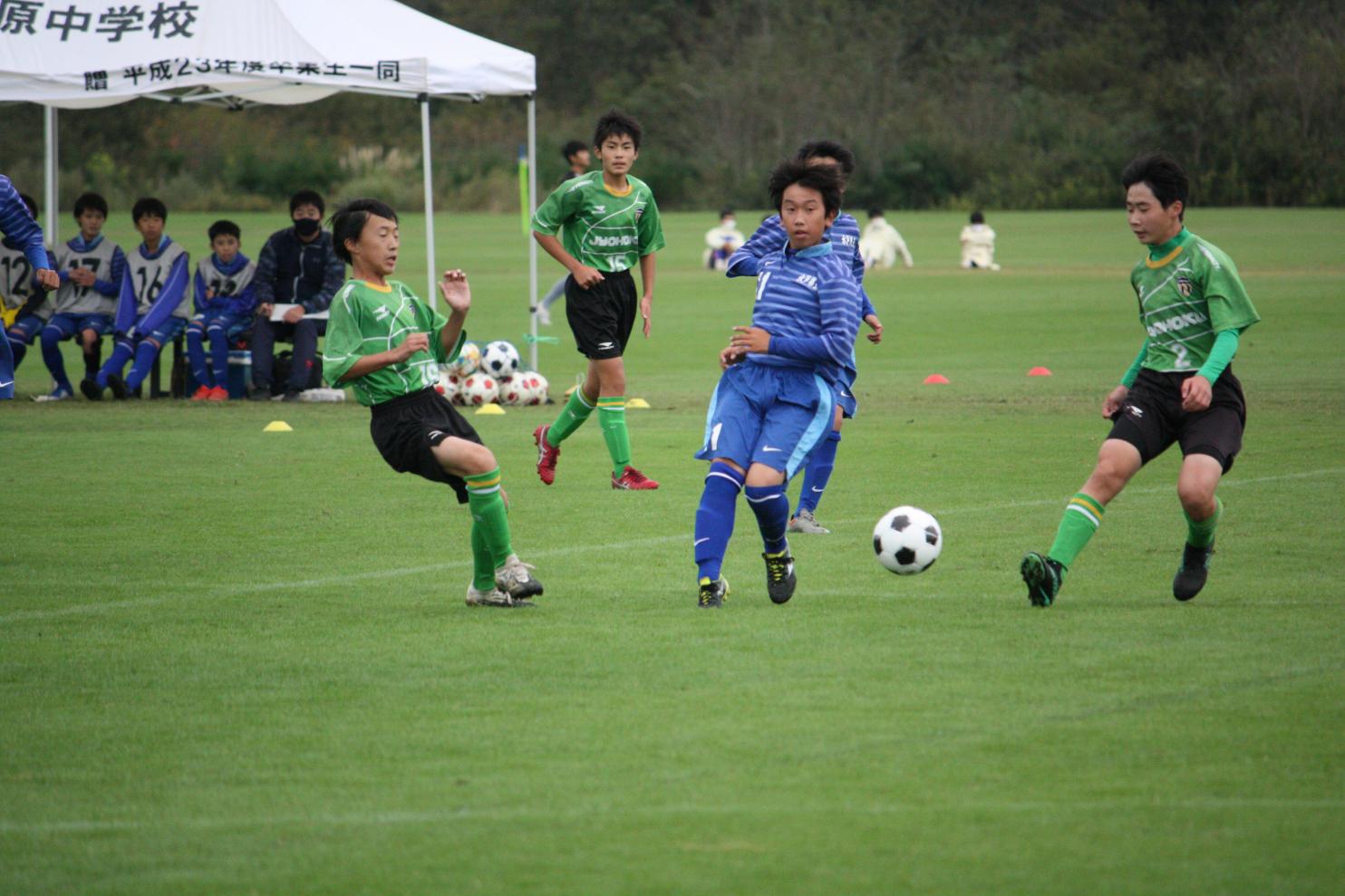 IMG_3433 IMG_3433