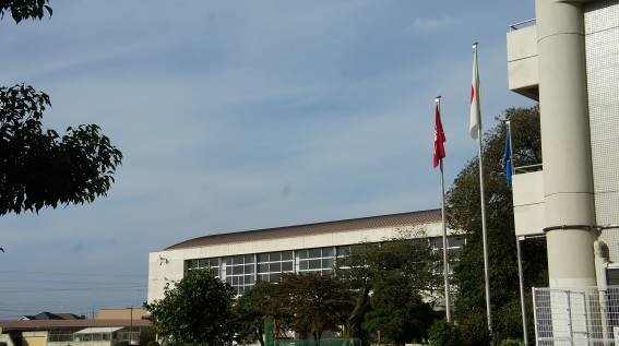 1020-4