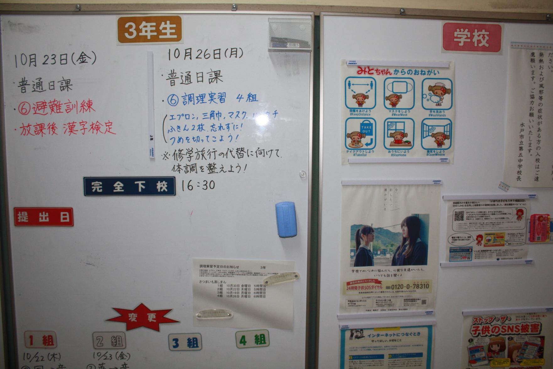 IMG_3527 IMG_3527