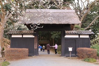 2026梅まつりボランティア (22) 2026梅まつりボランティア (22)