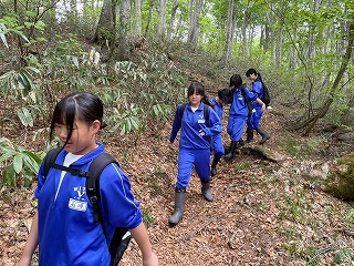 0528トレッキング (6) 0528トレッキング (6)