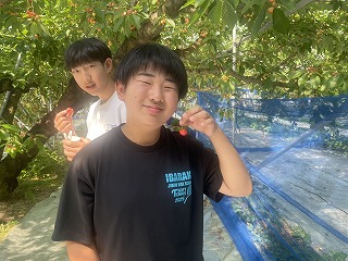 0528サクランボ狩り (4) 0528サクランボ狩り (4)