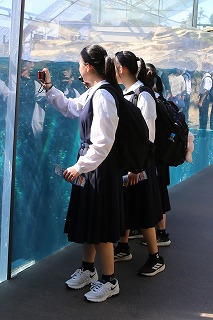 20260527アクアワールドふくしま (35) 20260527アクアワールドふくしま (35)