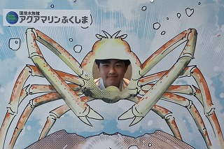 20260527アクアワールドふくしま (64) 20260527アクアワールドふくしま (64)