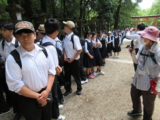 0530奈良公園の様子 (4) 0530奈良公園の様子 (4)