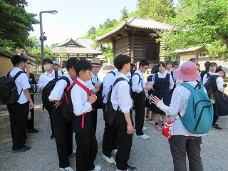 0530奈良公園の様子 (11) 0530奈良公園の様子 (11)