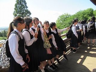 0530奈良公園の様子 (18) 0530奈良公園の様子 (18)