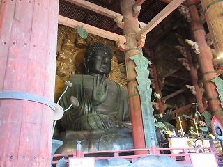 0530奈良公園の様子 (25) 0530奈良公園の様子 (25)