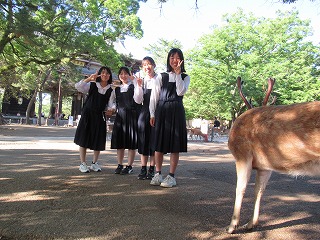 0530奈良公園の様子 (47) 0530奈良公園の様子 (47)