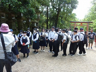 0530奈良公園の様子 (57) 0530奈良公園の様子 (57)