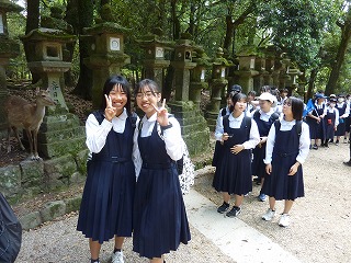 0530奈良公園の様子 (58) 0530奈良公園の様子 (58)