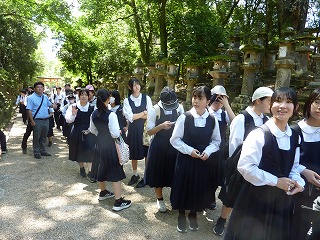 0530奈良公園の様子 (63) 0530奈良公園の様子 (63)