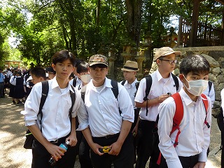 0530奈良公園の様子 (64) 0530奈良公園の様子 (64)