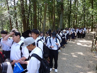 0530奈良公園の様子 (67) 0530奈良公園の様子 (67)