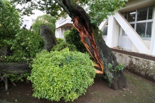 0603台風6号 (8) 0603台風6号 (8)