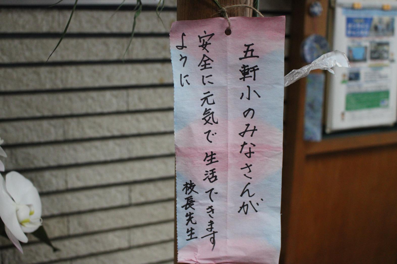 IMG_0499 IMG_0499