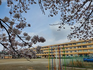 桜＆校舎(2)