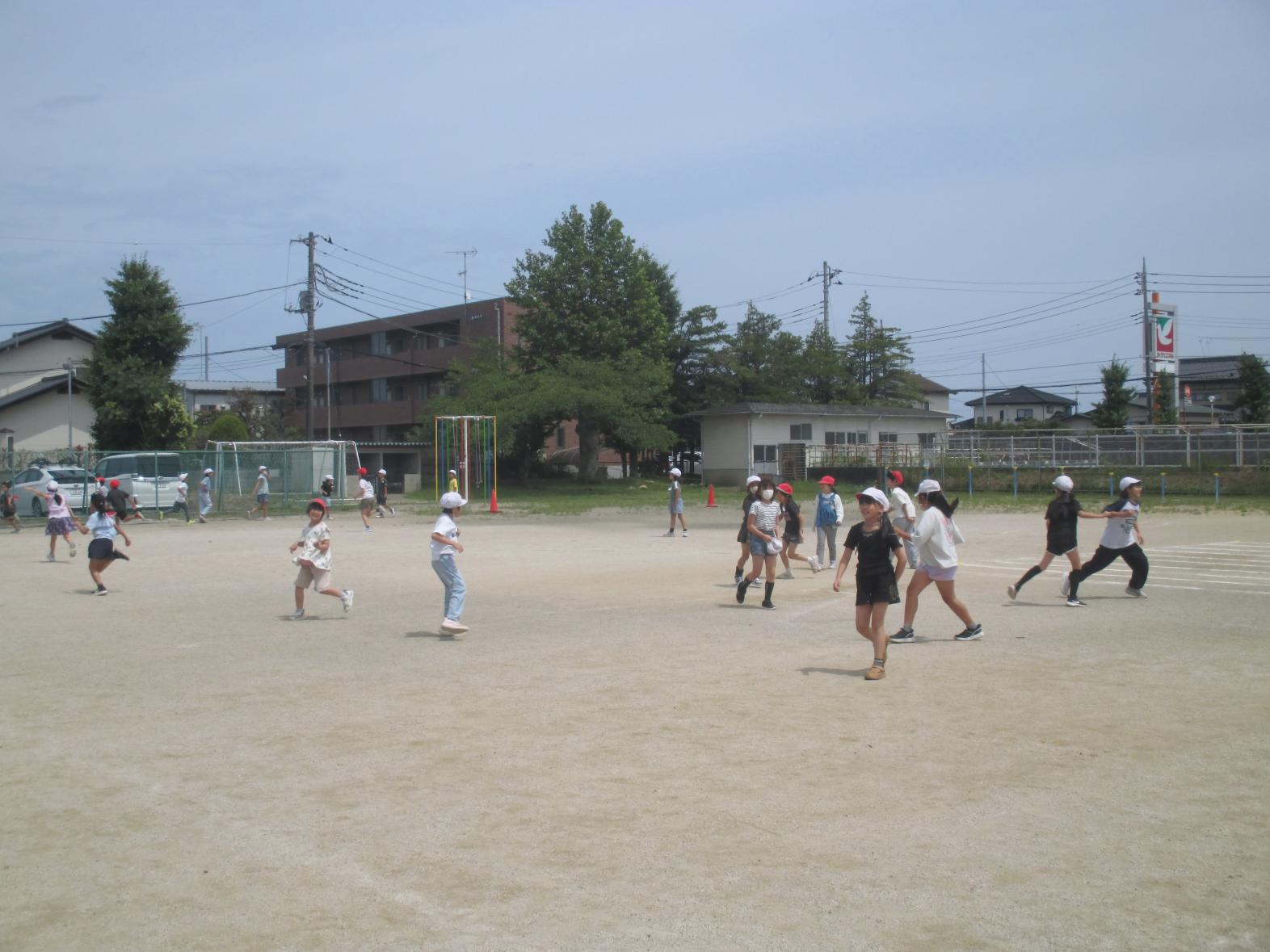 IMG_0492 IMG_0492