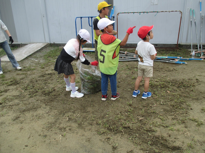 IMG_0095 IMG_0095