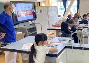 歯と口の2 歯と口の2