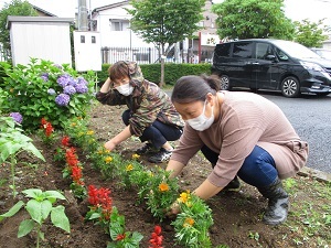 花苗植え (5)