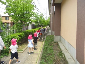 カエルの独り立ち (3)
